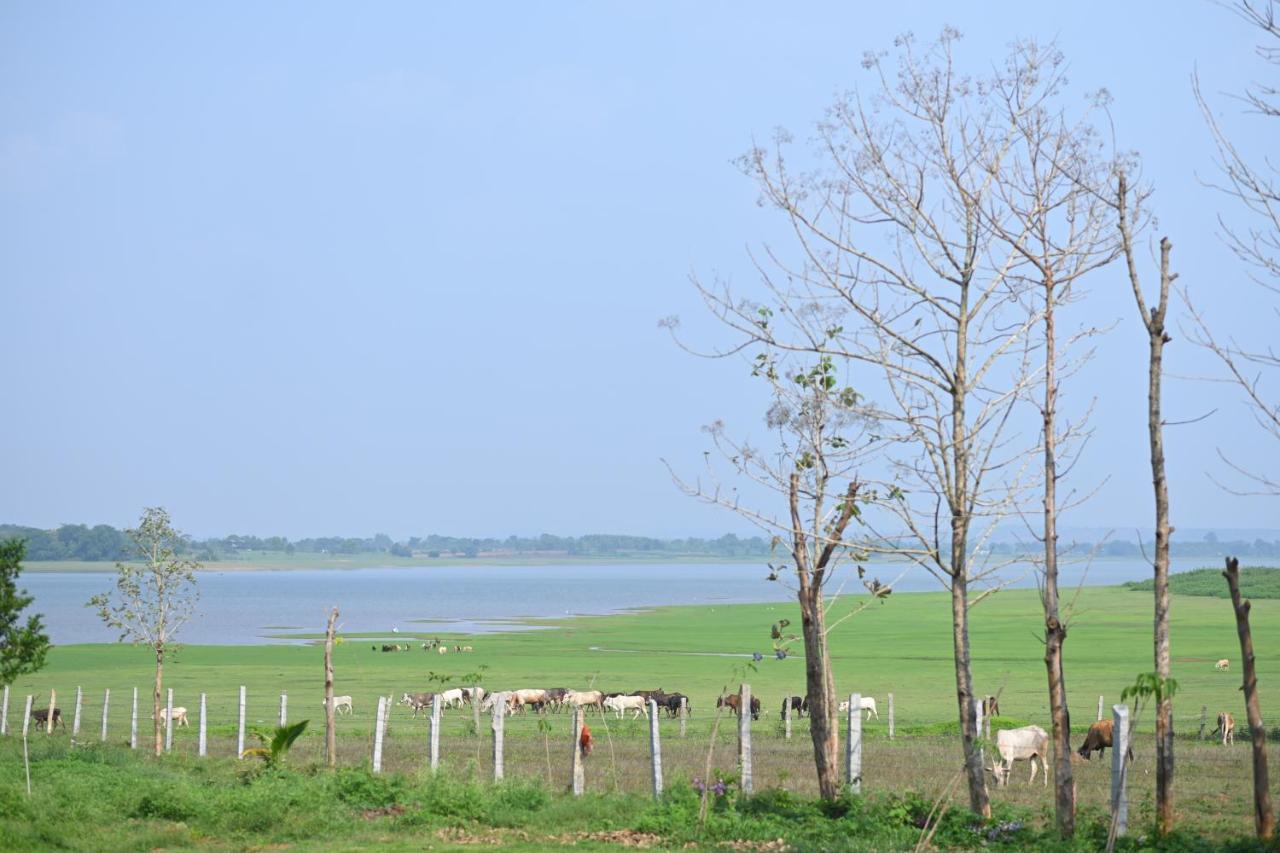Fireflies Kabini Begūr 外观 照片